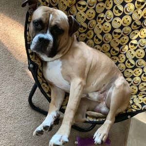 Meet your Posher, Ryan